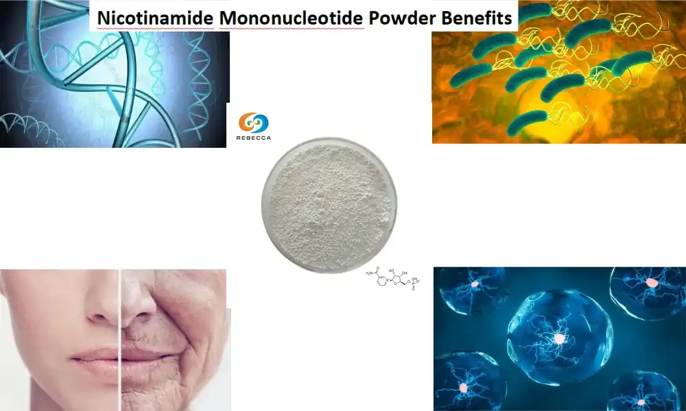 Nicotinamide Mononucleotide Powder Benefits